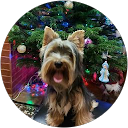 Oleg profile picture